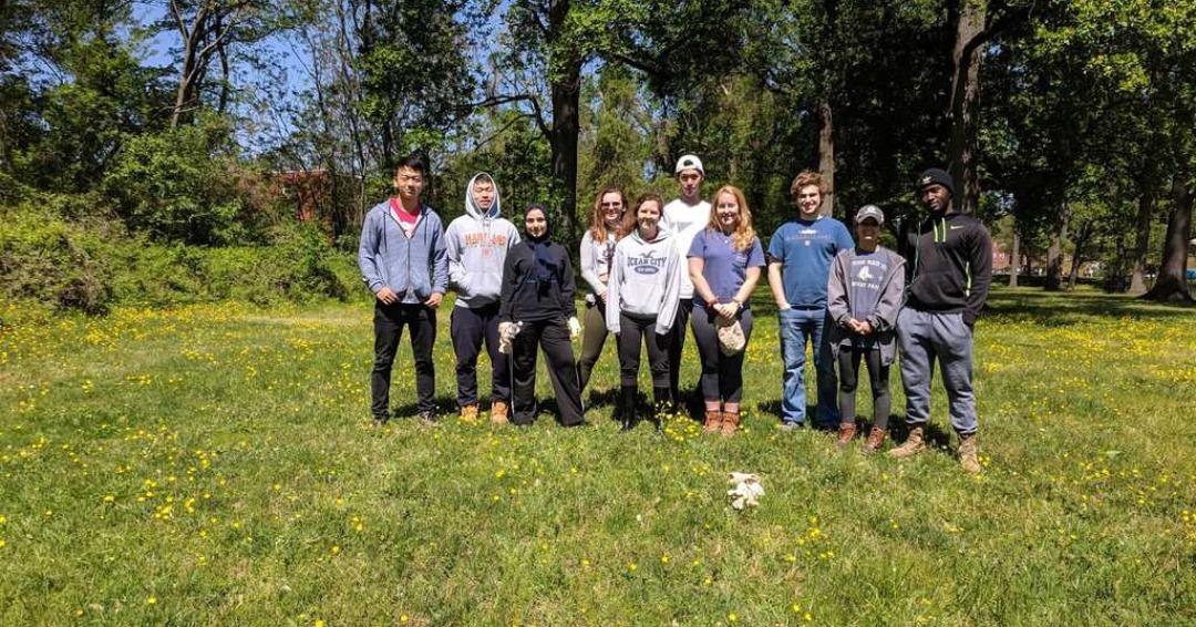 Driskell volunteers