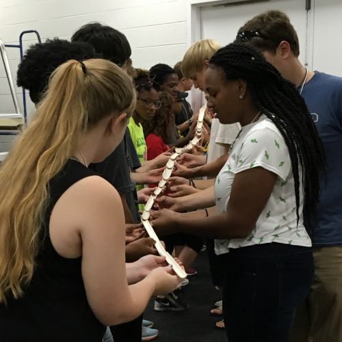 participants engaging in group activity