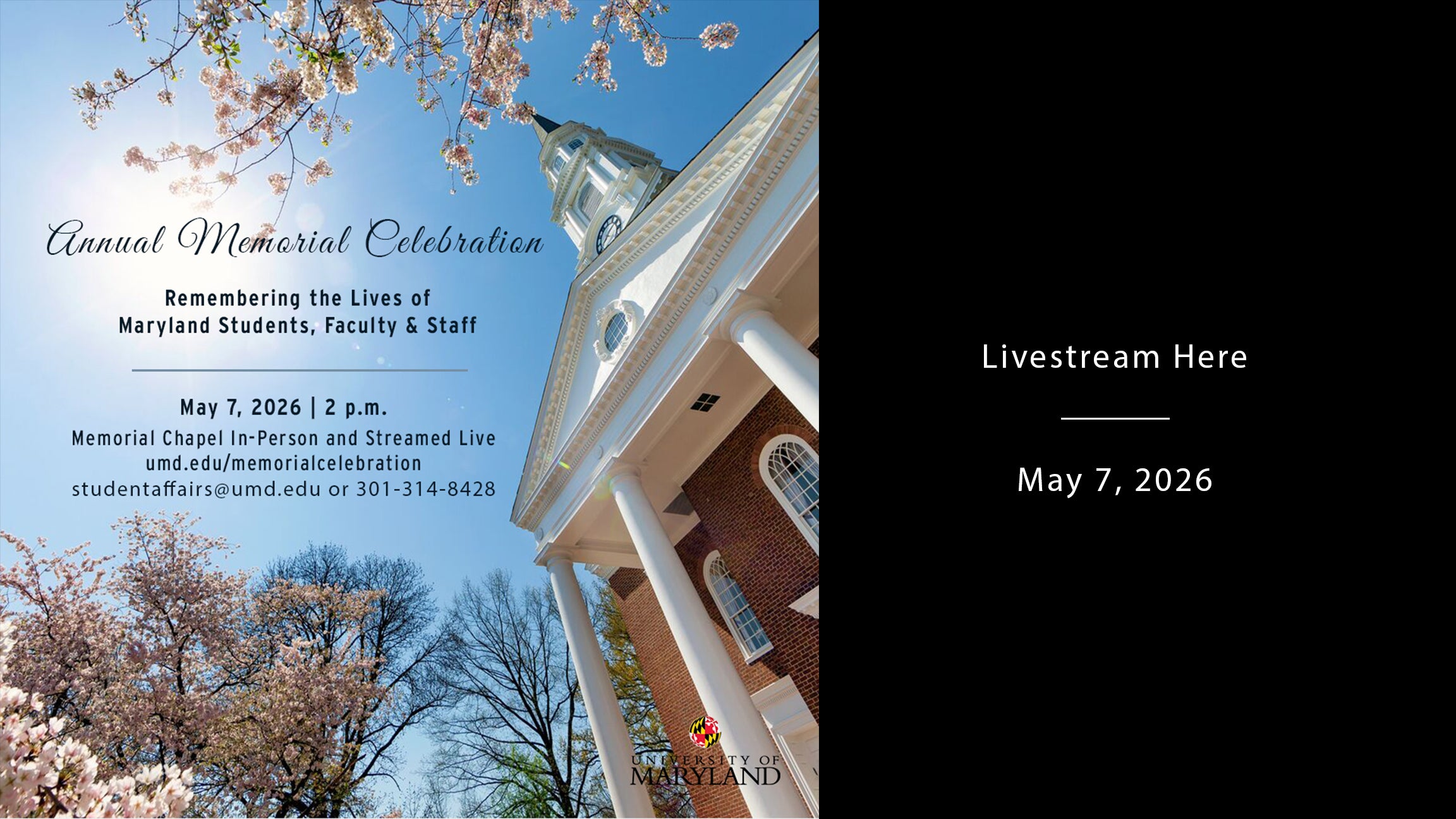 image displaying program details