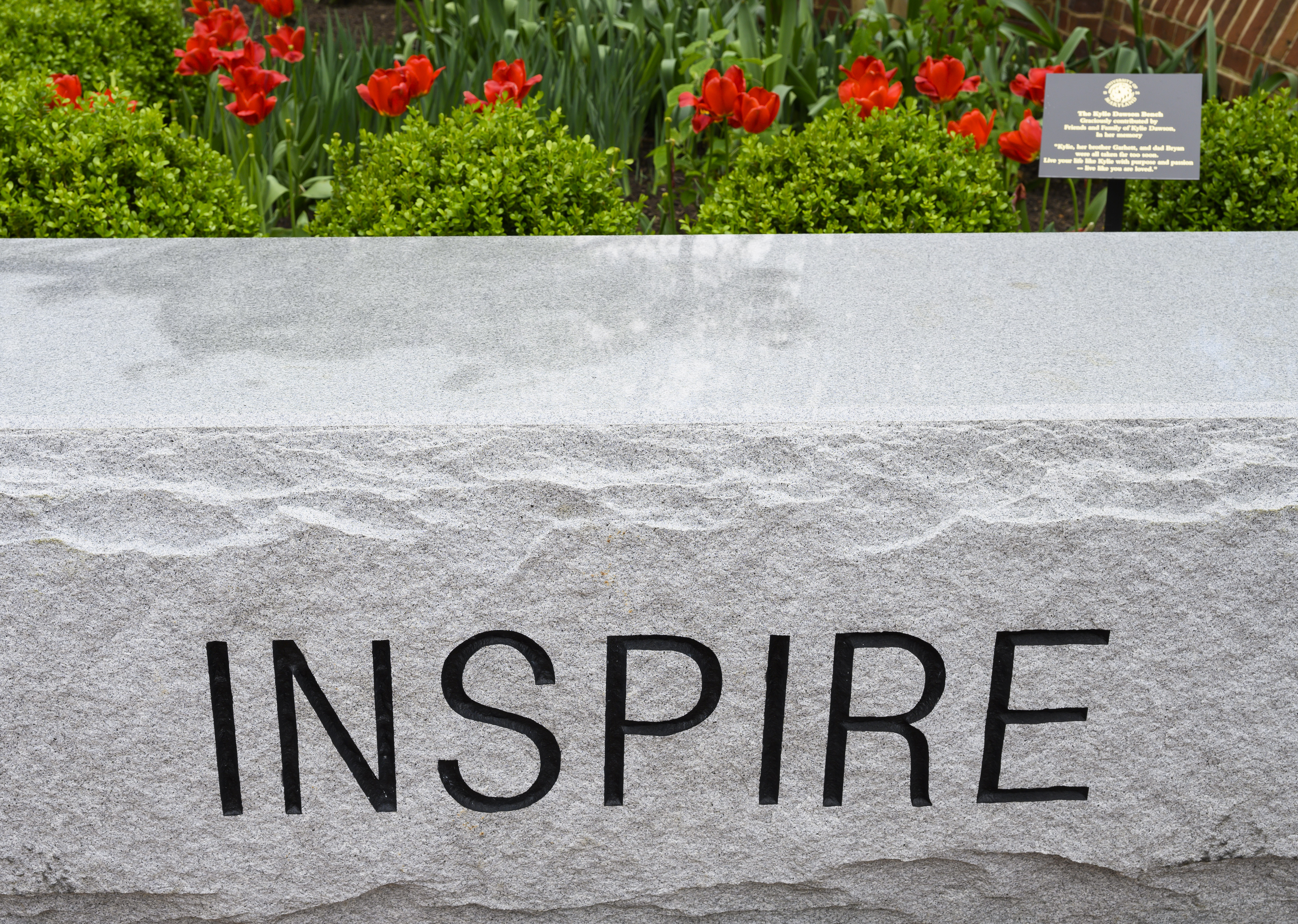 inspire bench