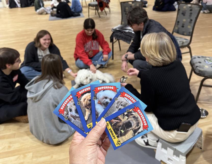 A hand holds therapy dog trading cards in the foreground, while students pet dogs in the background