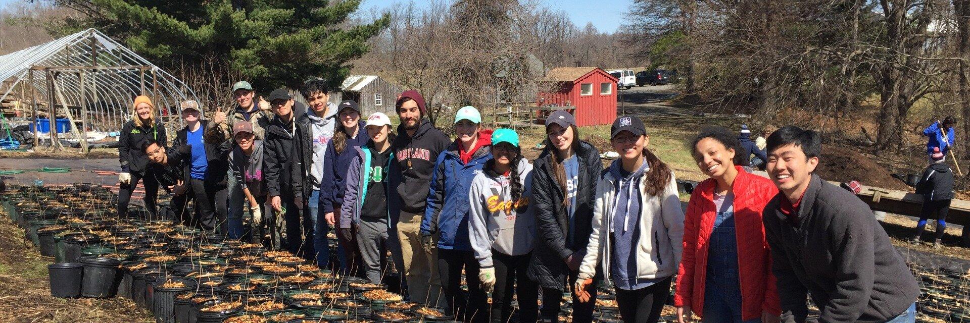 Volunteers outdoors planting trees