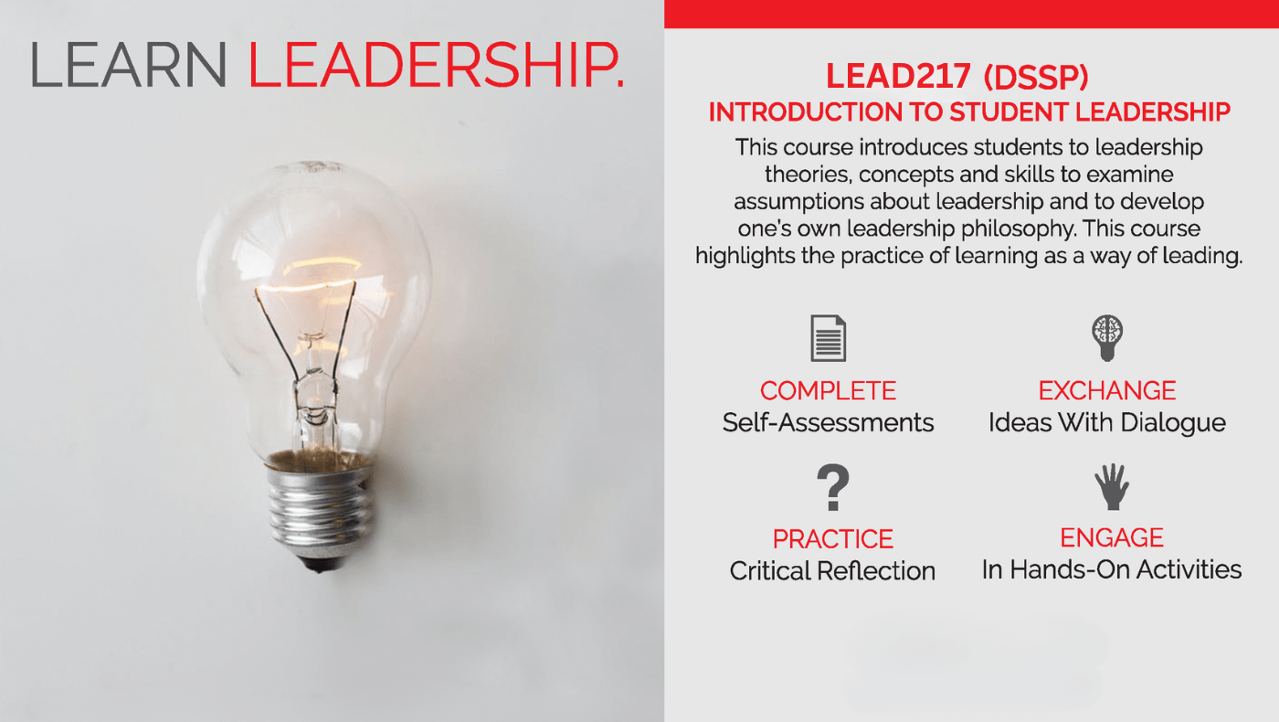 gray background with image of lightbulb; text reads "Learn Leadership" LEAD217- Introduction to Leadership