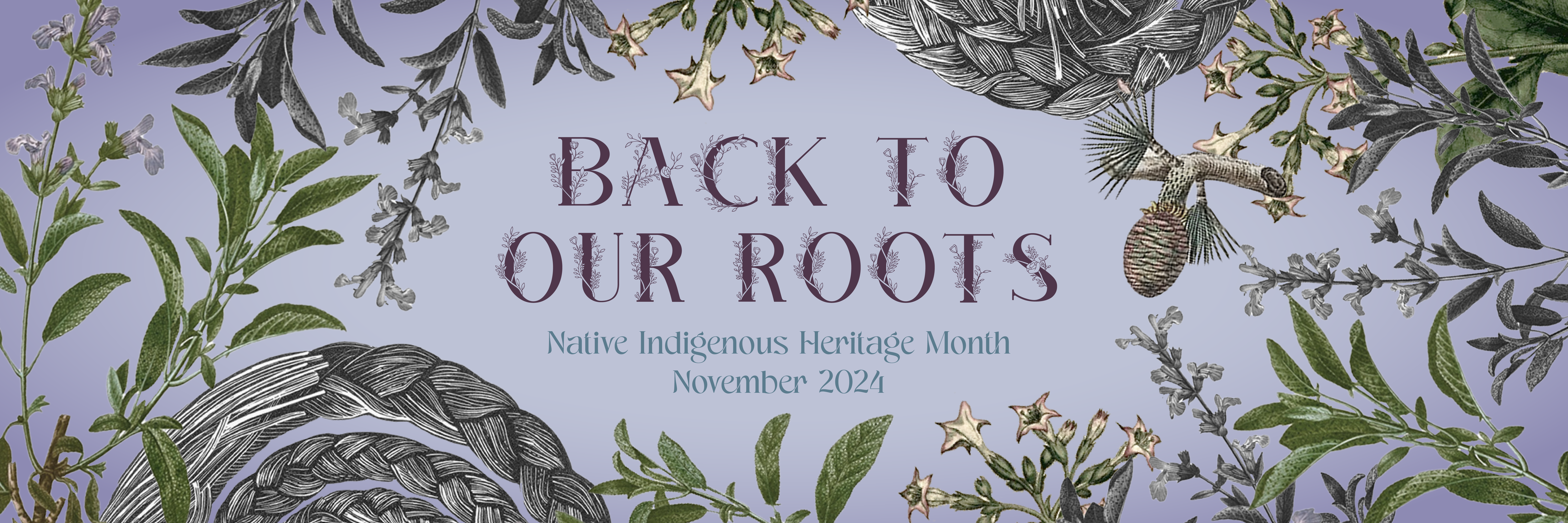 Native and Indigenous Heritage Month Graphic, with purple, green, and gray hues. Cedar, Sage, Sweetgrass, and tobacco surround the theme Back to our roots. 