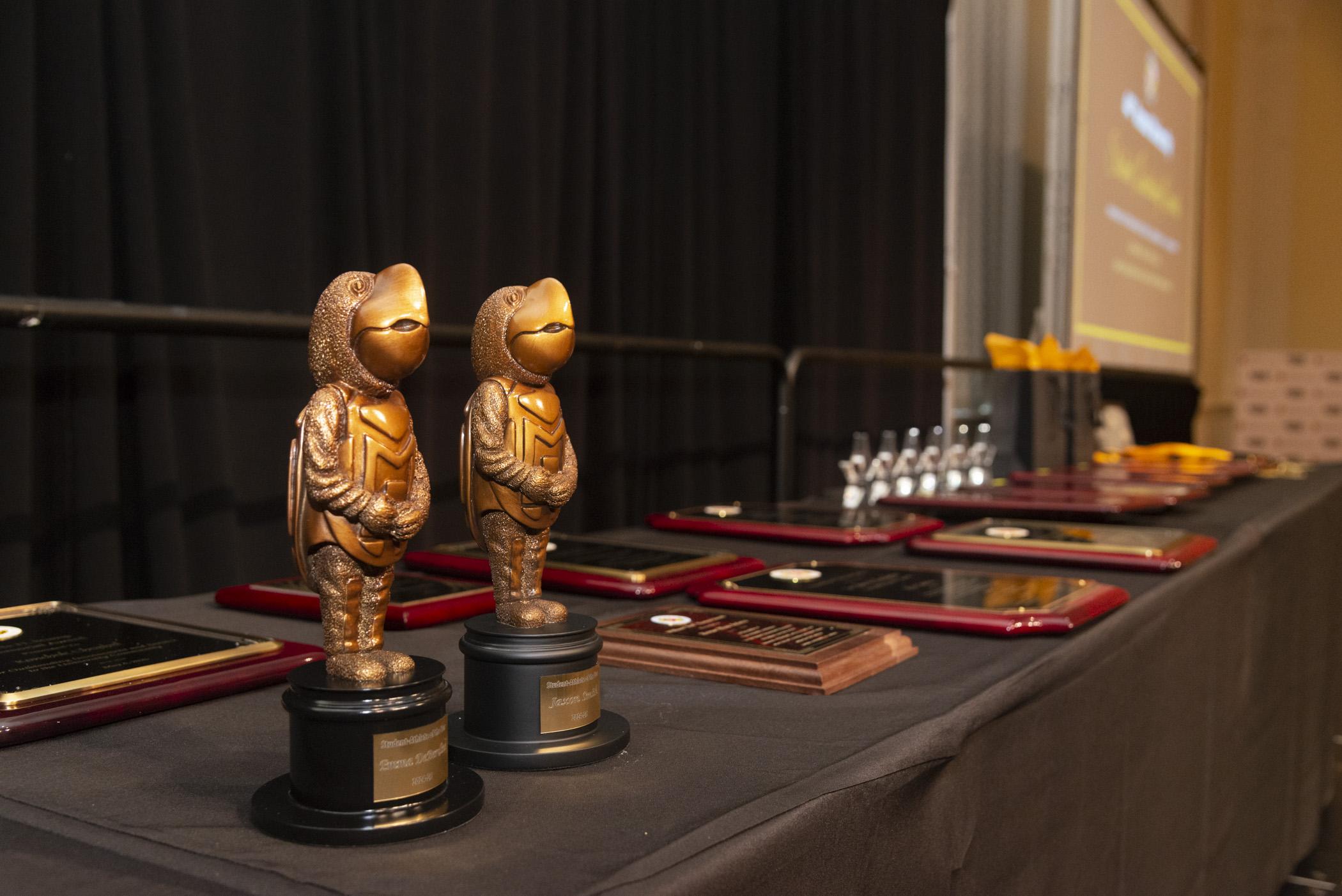 University Awards 2025