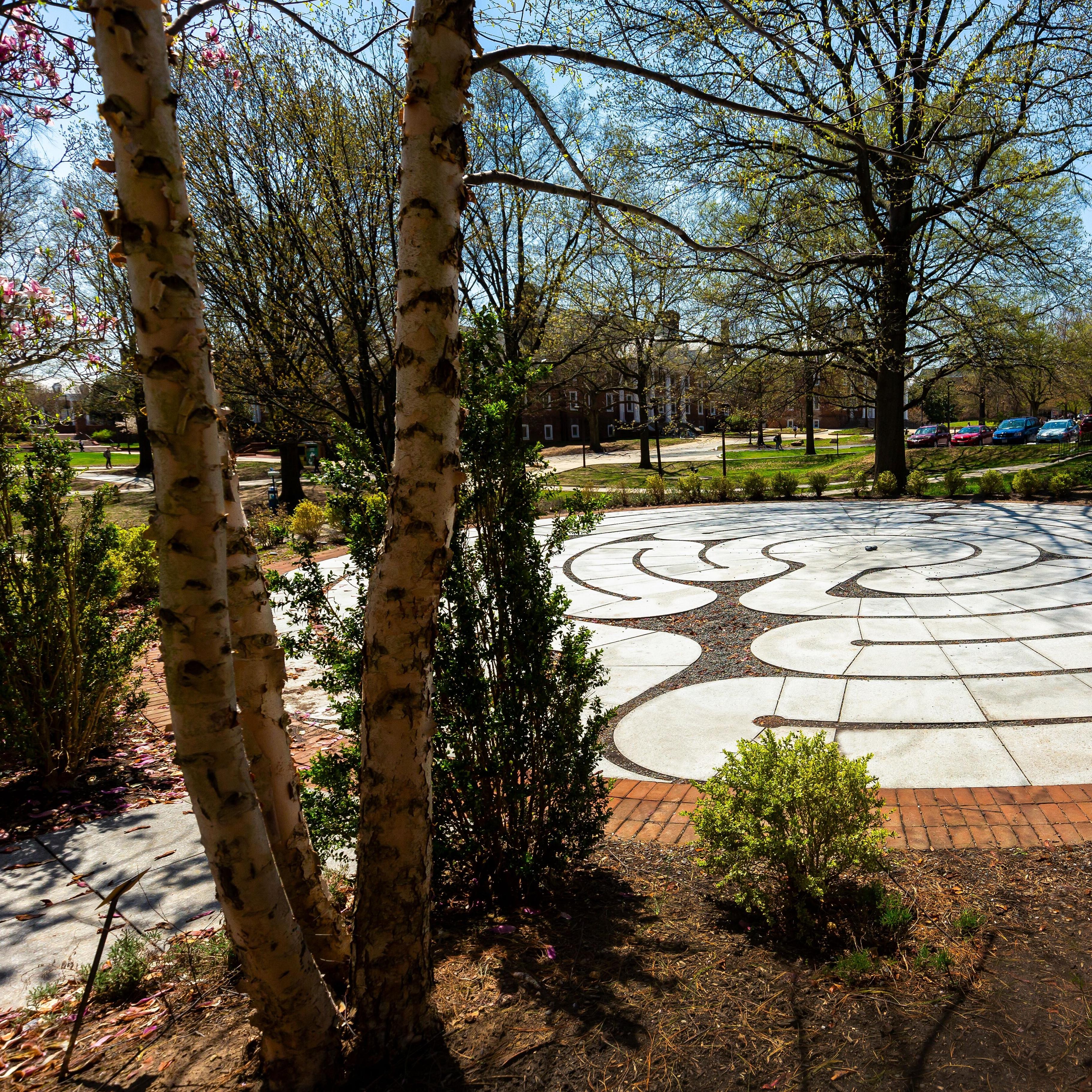 Portrait of Wind Down Wednesday 