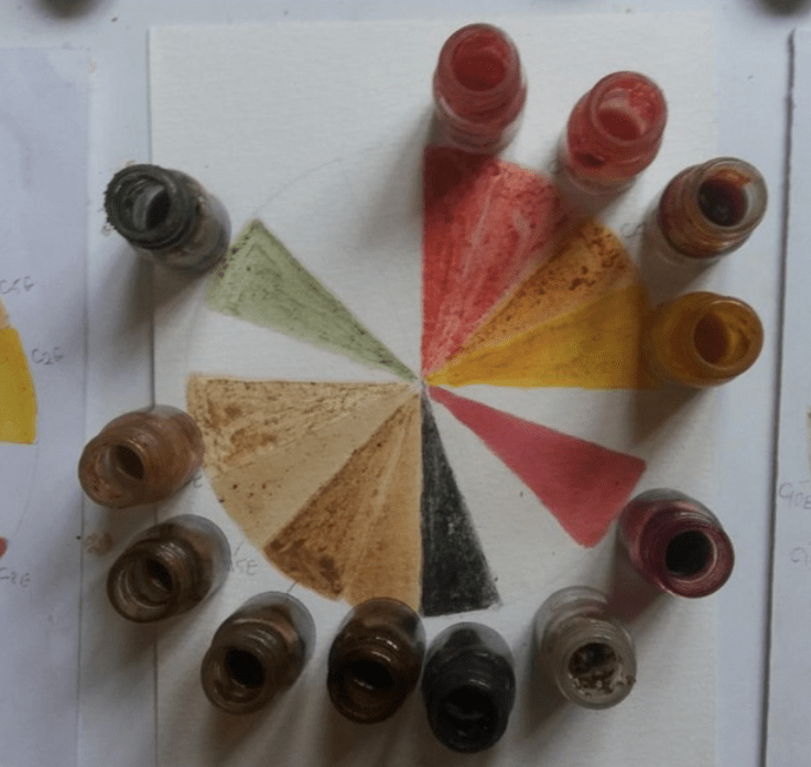 Portrait of Use of Plant-Based Color as a Visual Language 